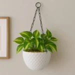 Cerana Basket – Handwoven Decorative Storage Basket for Plants