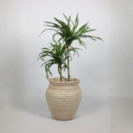 Basil Traditional Fiberglass Planter – Terra - Image 2