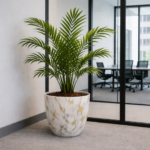 Designer Pots Orchid Round