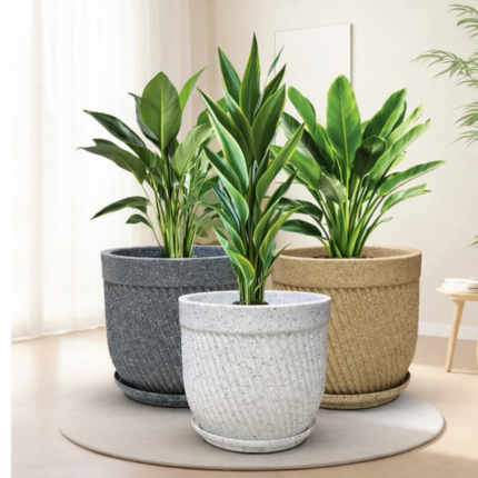 Helix Pots | Premium Plastic Planters for Home & Garden