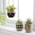 Table Top Pots Black & Golden