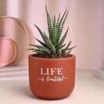 Life Is Beautiful Teracotta Pot