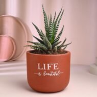Life Is Beautiful Teracotta Pot