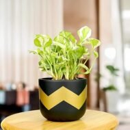 Modern Chevron Gold Terracotta Pot - Image 2