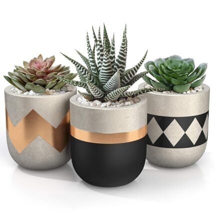 Designer Terracotta Mini Pot Set