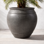 Parlor palm in textured planter