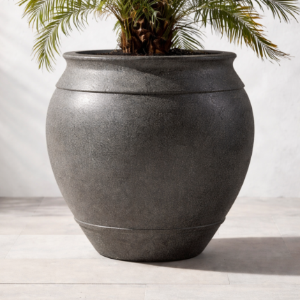 Parlor palm in textured planter