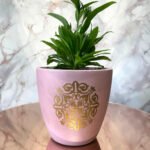 Pink Ornamental Terracotta Pot