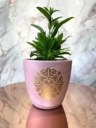 Pink Ornamental Terracotta Pot