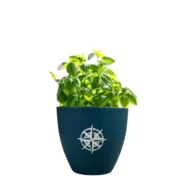 Nautical Compass Terracotta Pot - Image 2