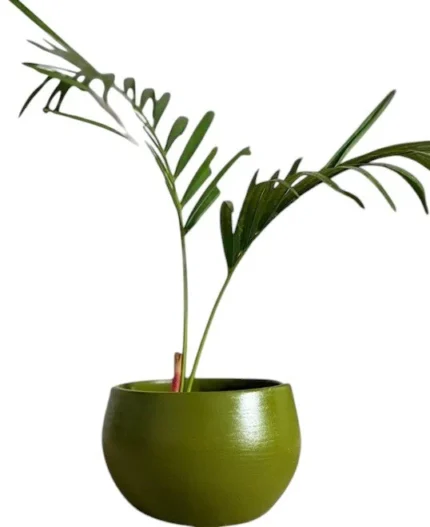 Modern Olive Green Terracotta Pot
